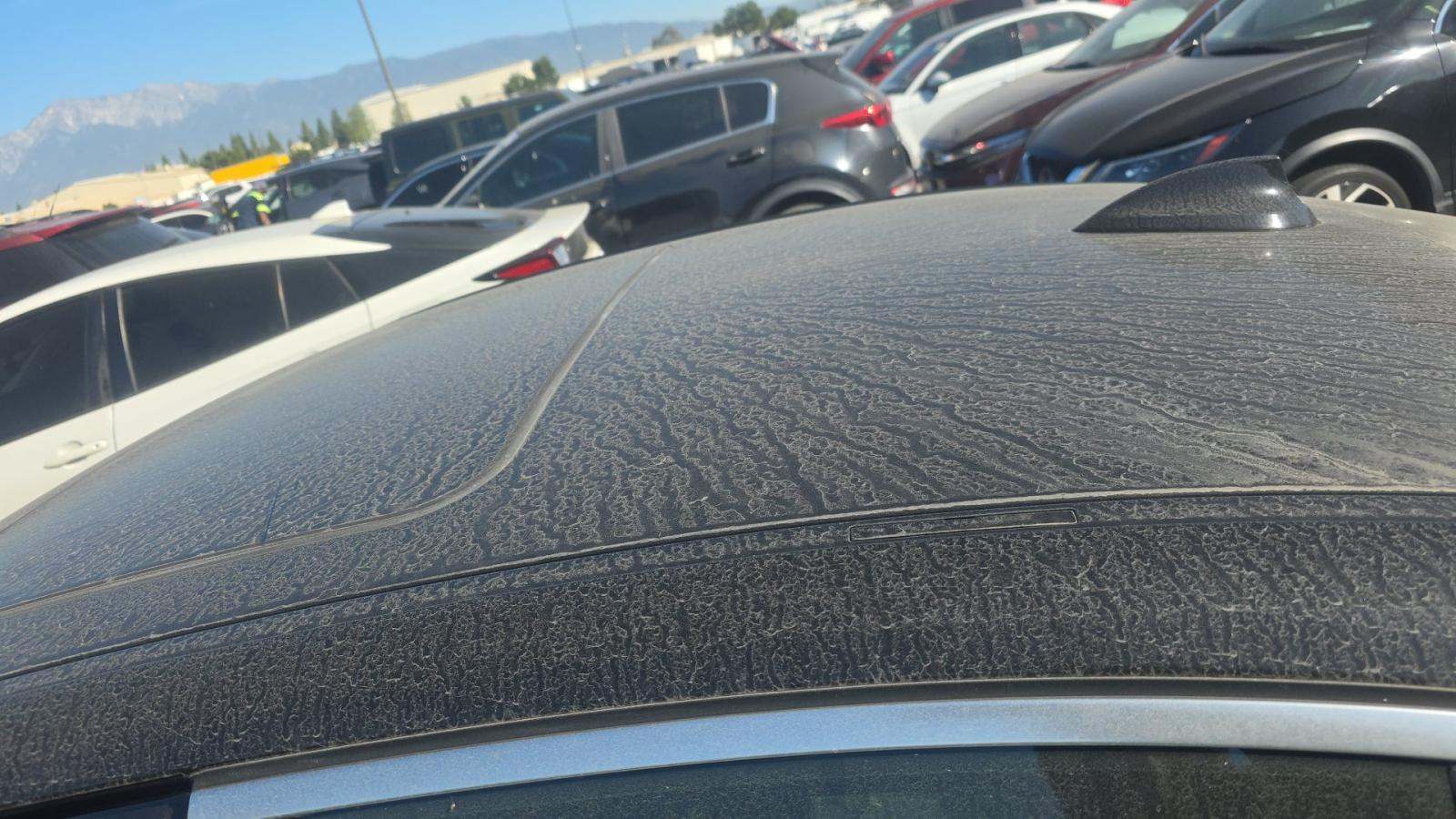 2020 BMW 3 Series 330i RWD