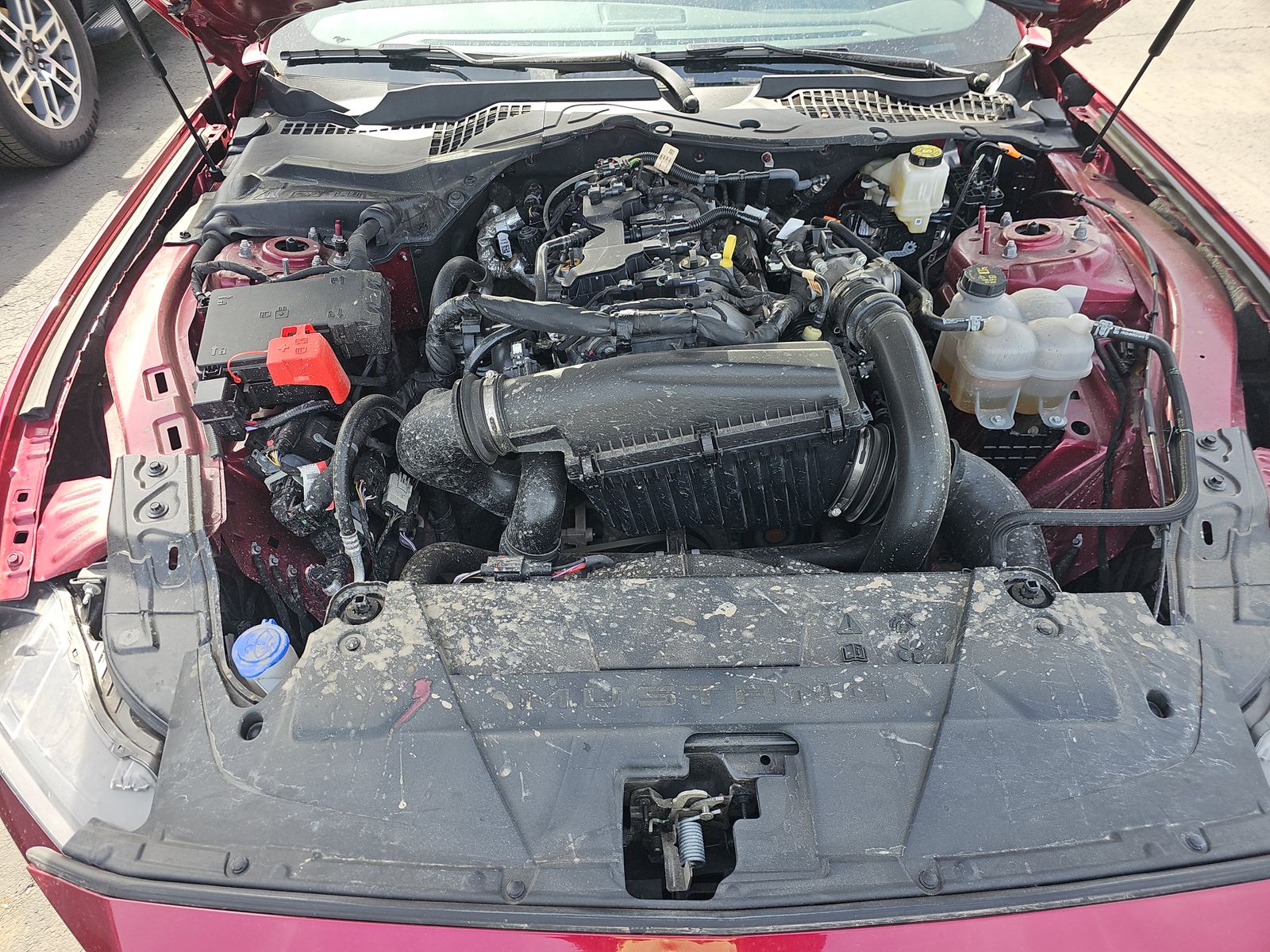 2025 Ford Mustang EcoBoost Premium RWD