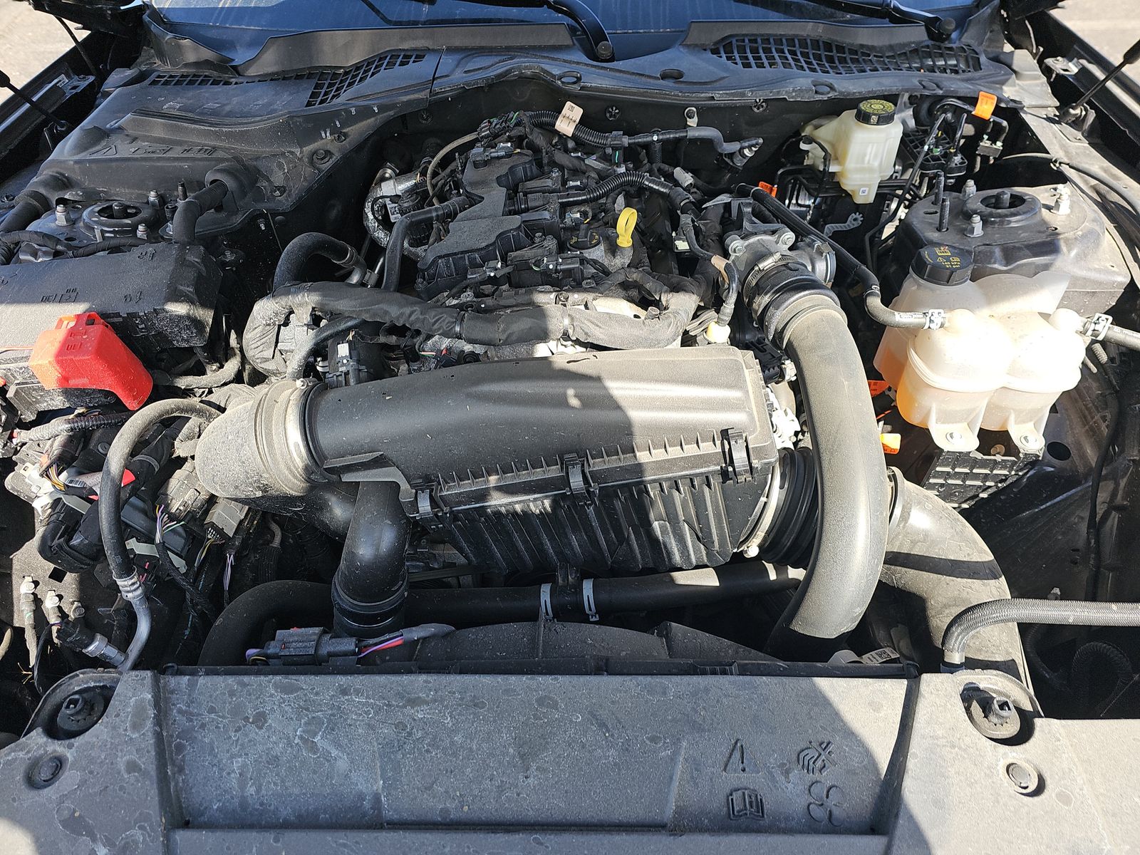 2024 Ford Mustang EcoBoost Premium RWD