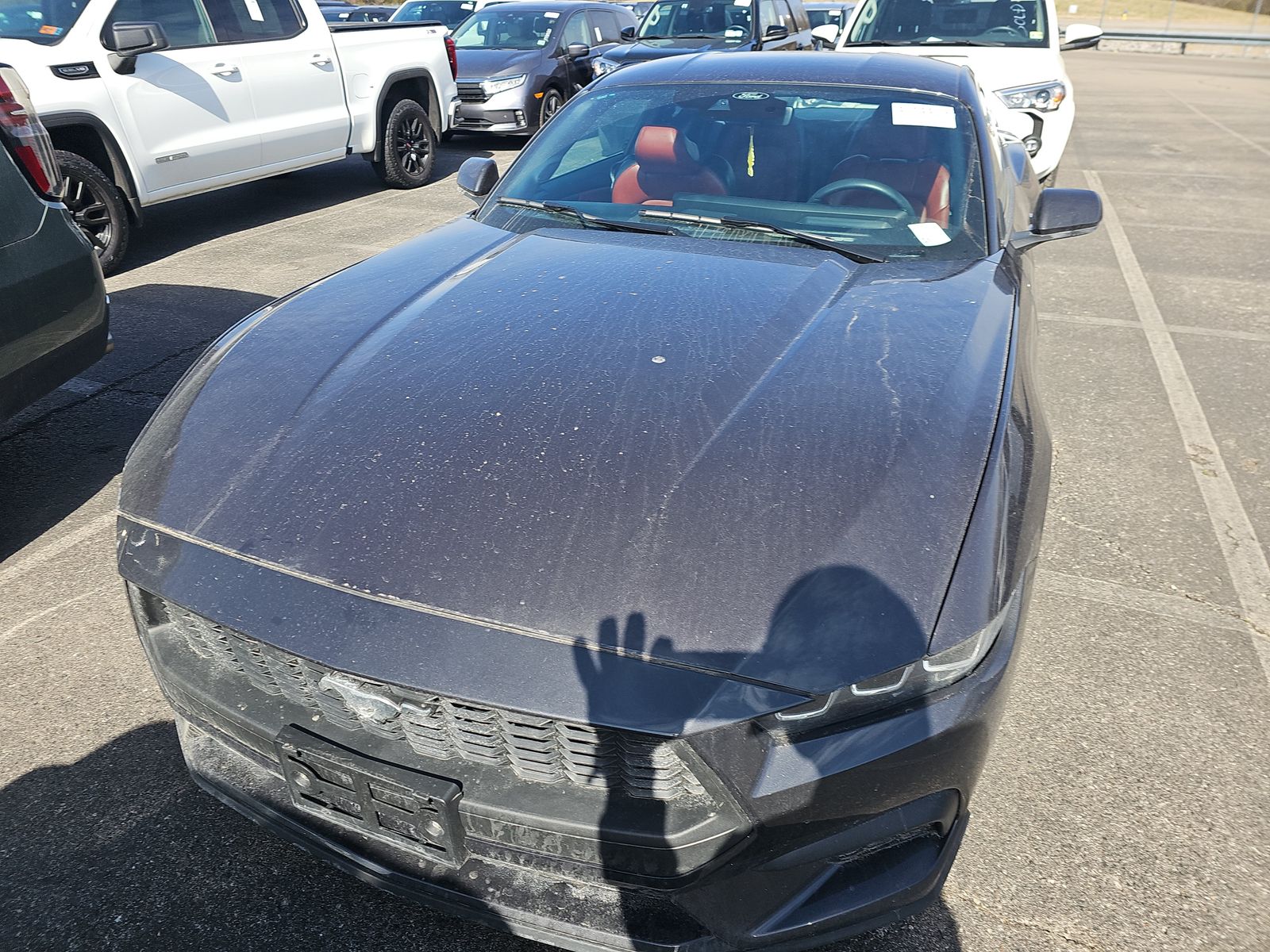 2024 Ford Mustang EcoBoost Premium RWD