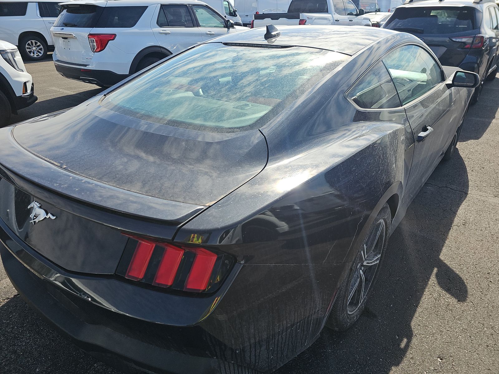 2024 Ford Mustang EcoBoost Premium RWD