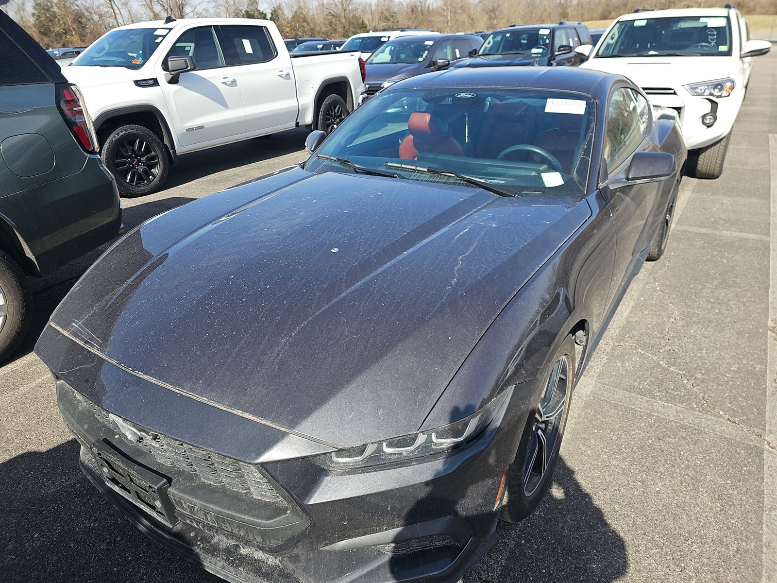 2024 Ford Mustang EcoBoost Premium RWD