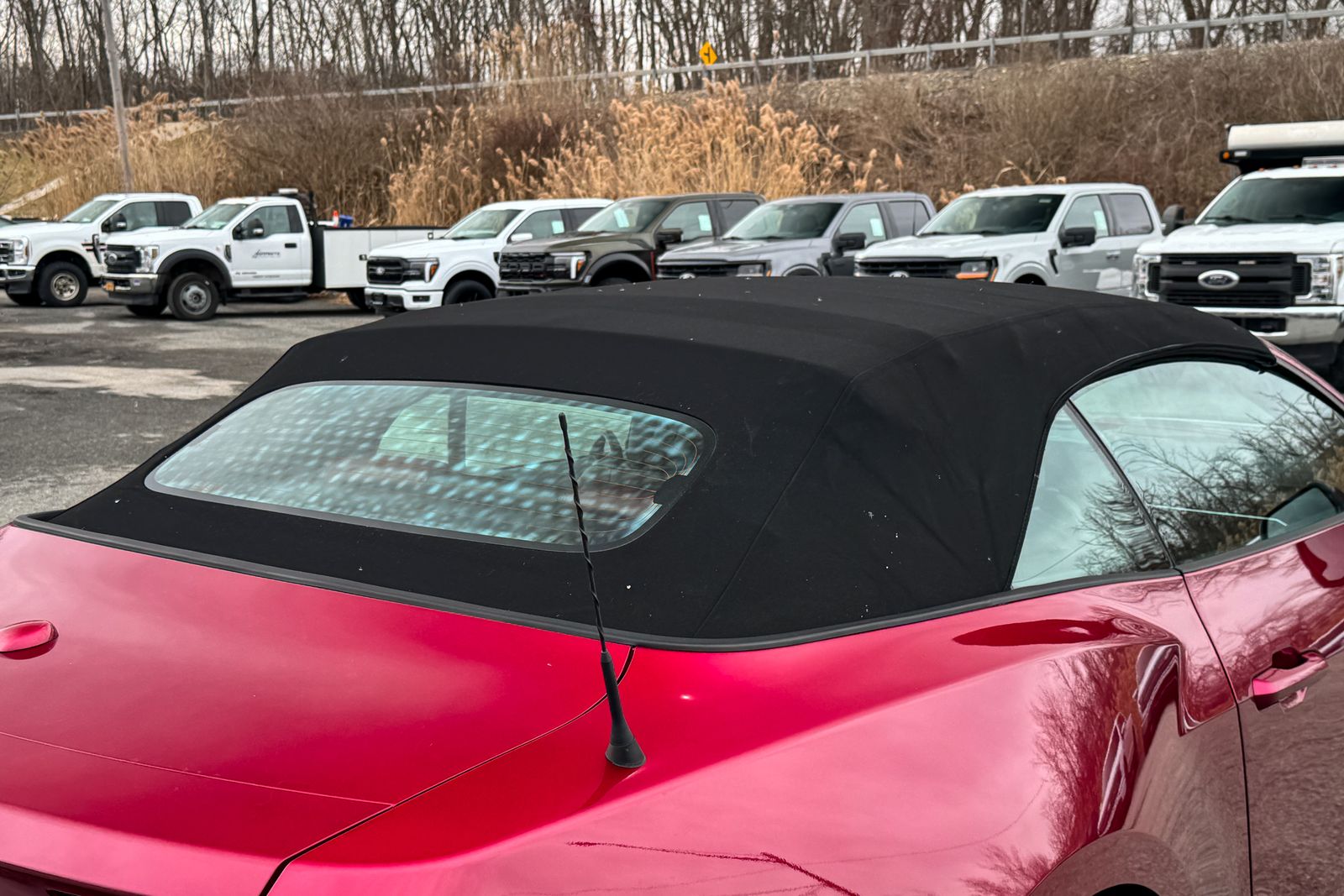 2025 Ford Mustang GT Premium RWD