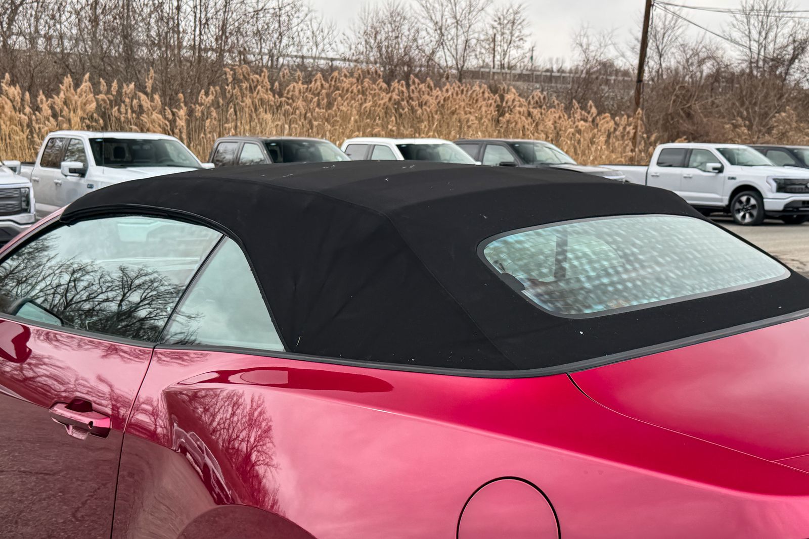 2025 Ford Mustang GT Premium RWD