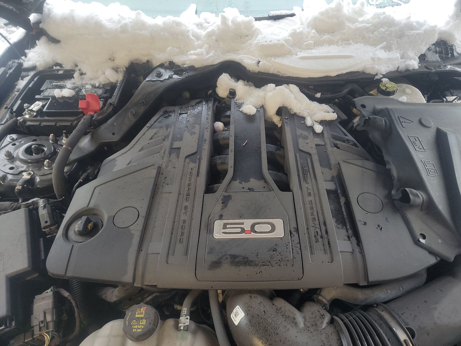 2023 Ford Mustang GT Premium RWD