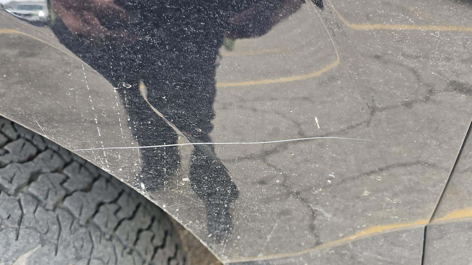 2016 Ford F-150 XLT AWD