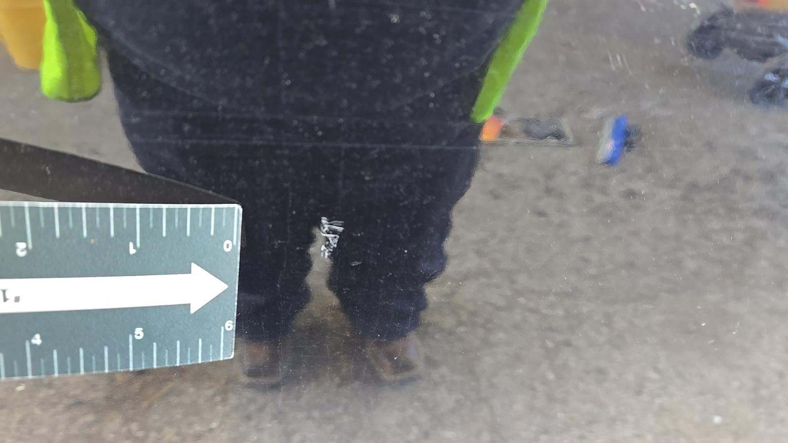 2019 Ford F-150 XL AWD