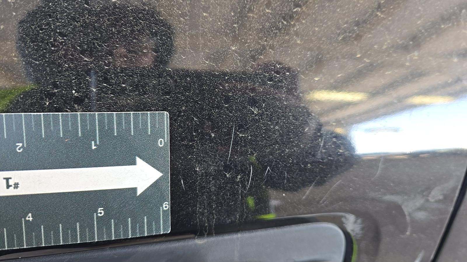 2019 Ford F-150 XL AWD