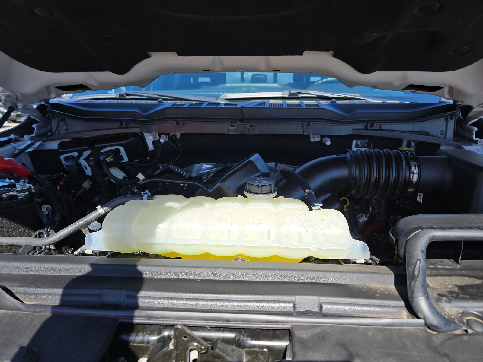 2024 Ford F-150 XLT AWD