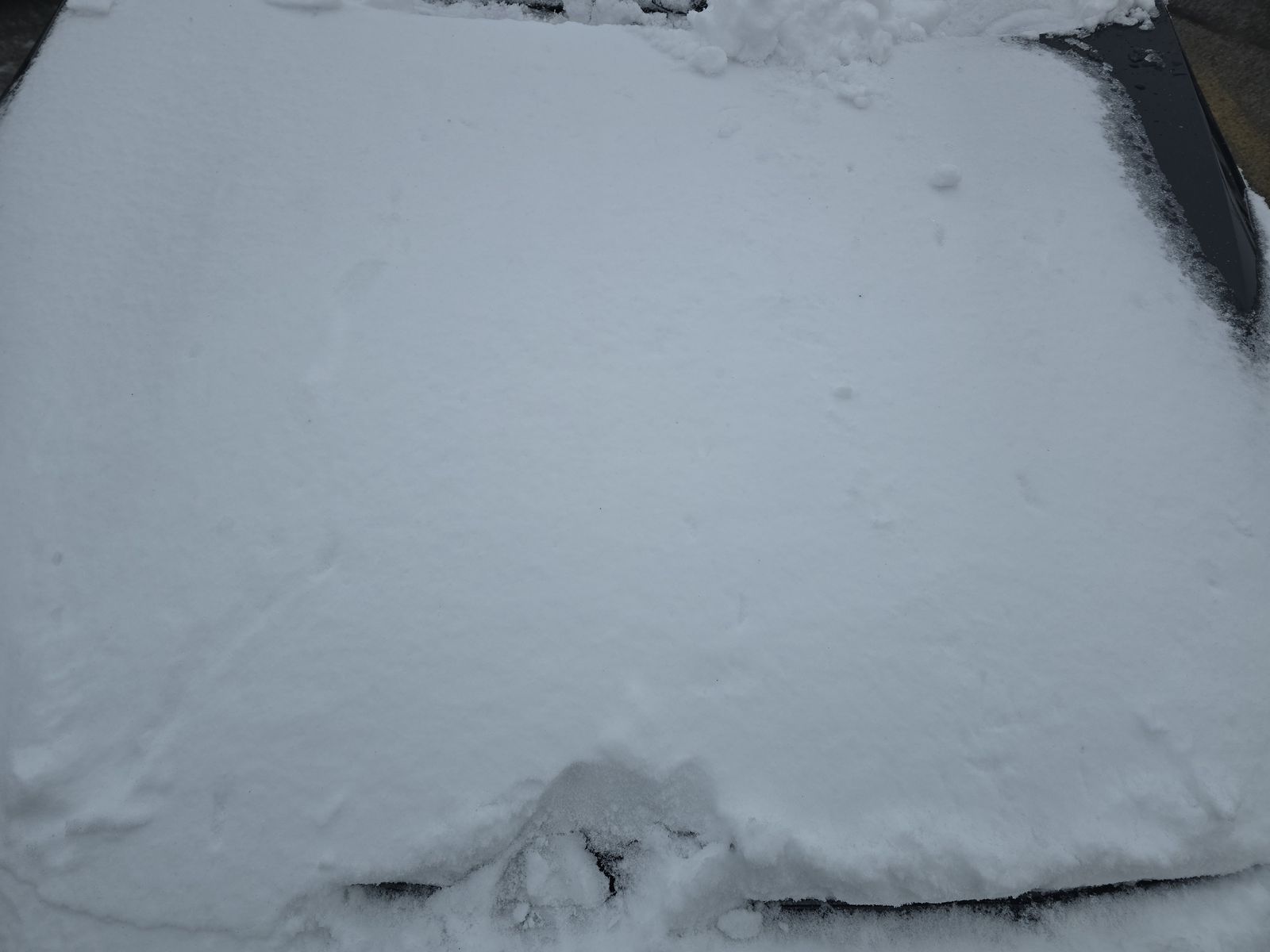 2021 BMW 2 Series 228i xDrive AWD