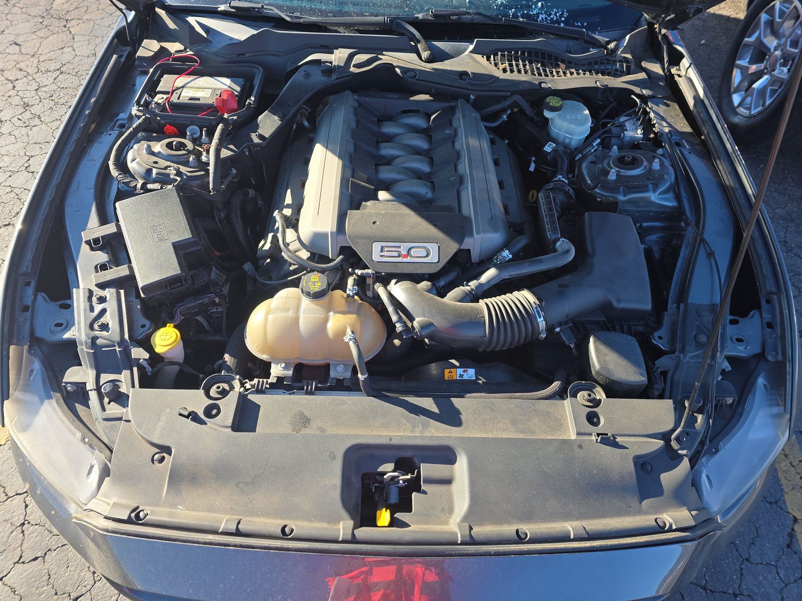 2016 Ford Mustang GT RWD