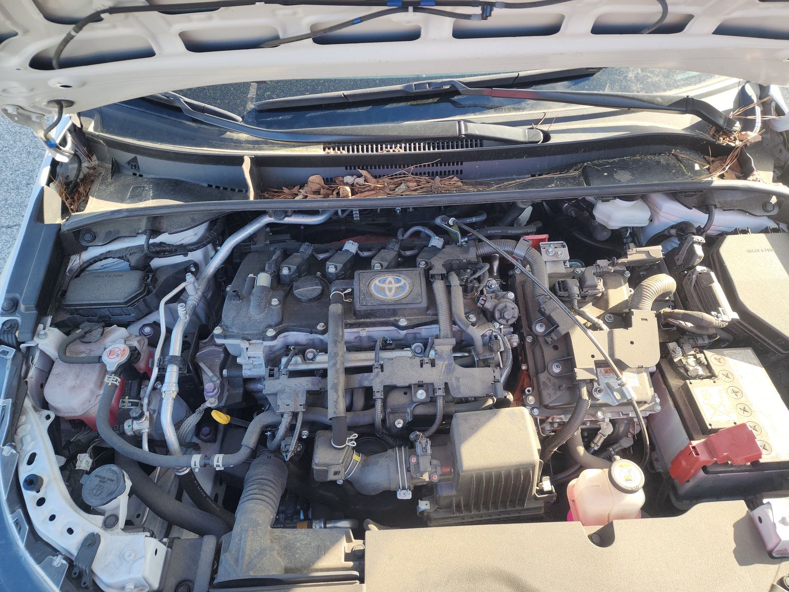 2024 Toyota Corolla Hybrid LE FWD