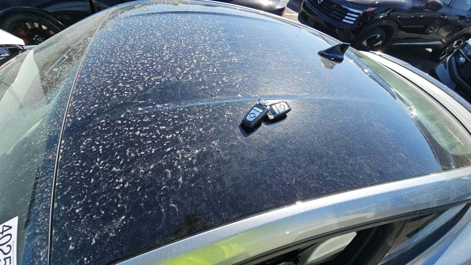 2025 Ford Mustang GT Premium RWD