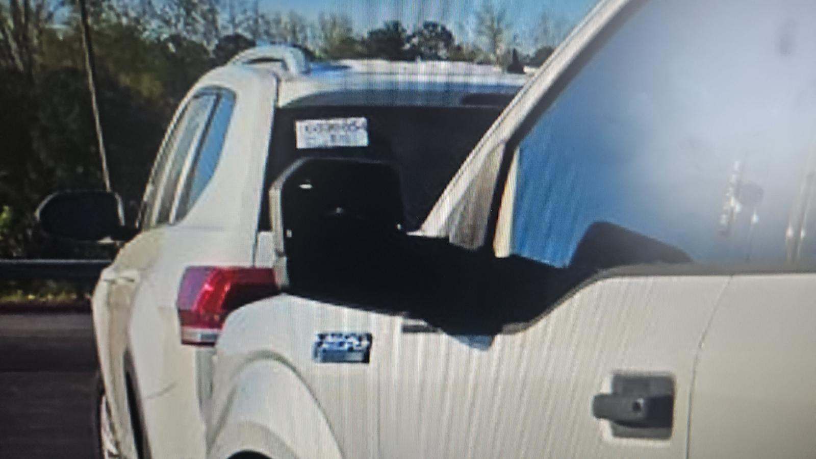 2019 Ford F-150 XLT AWD