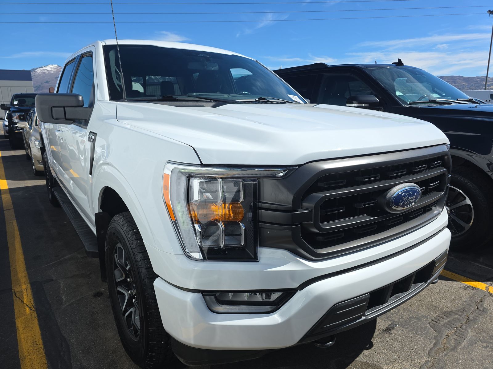 FORD F-150 - 4