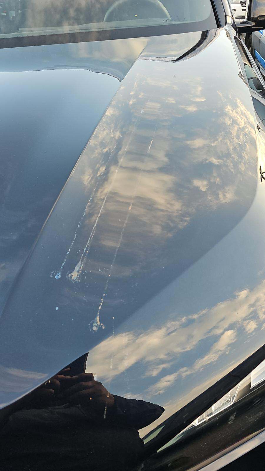 2026 BMW X5 sDrive40i FWD