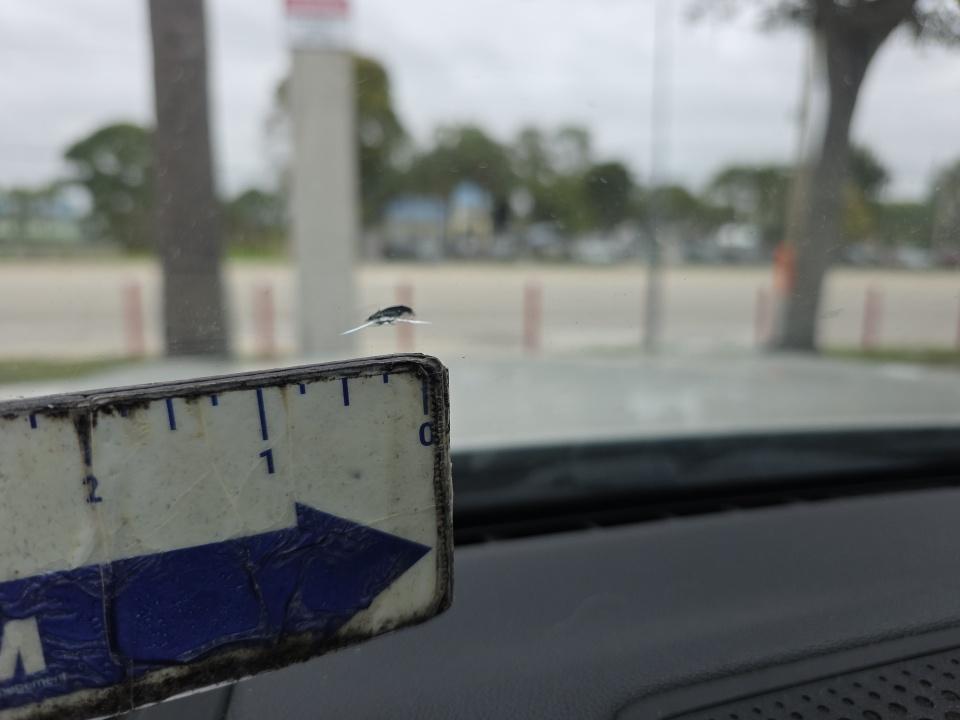 2019 BMW X5 xDrive40i AWD