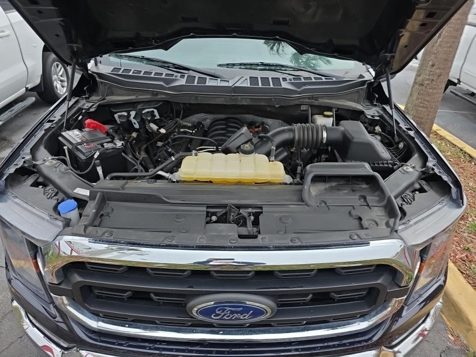 2023 Ford F-150 XLT RWD