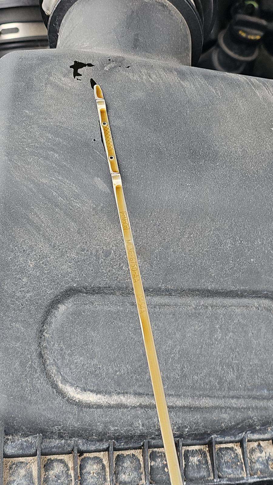 2023 Ford F-150 XL AWD