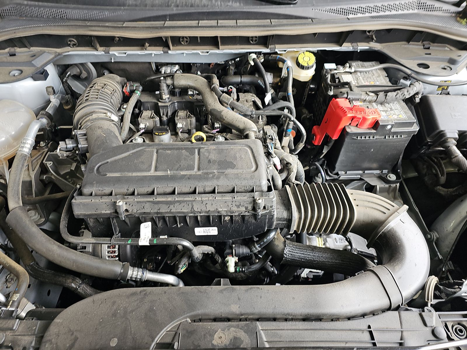 2025 Ford Escape ST-Line AWD