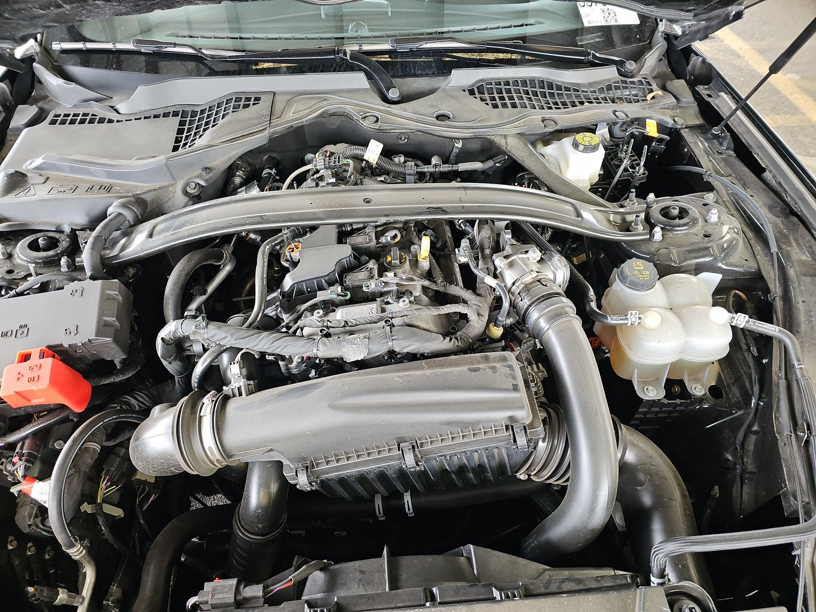 2025 Ford Mustang EcoBoost Premium RWD