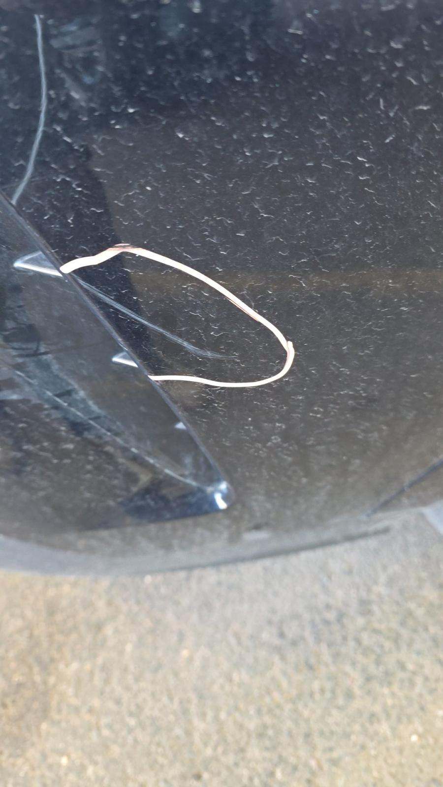 2025 BMW X6 xDrive40i AWD