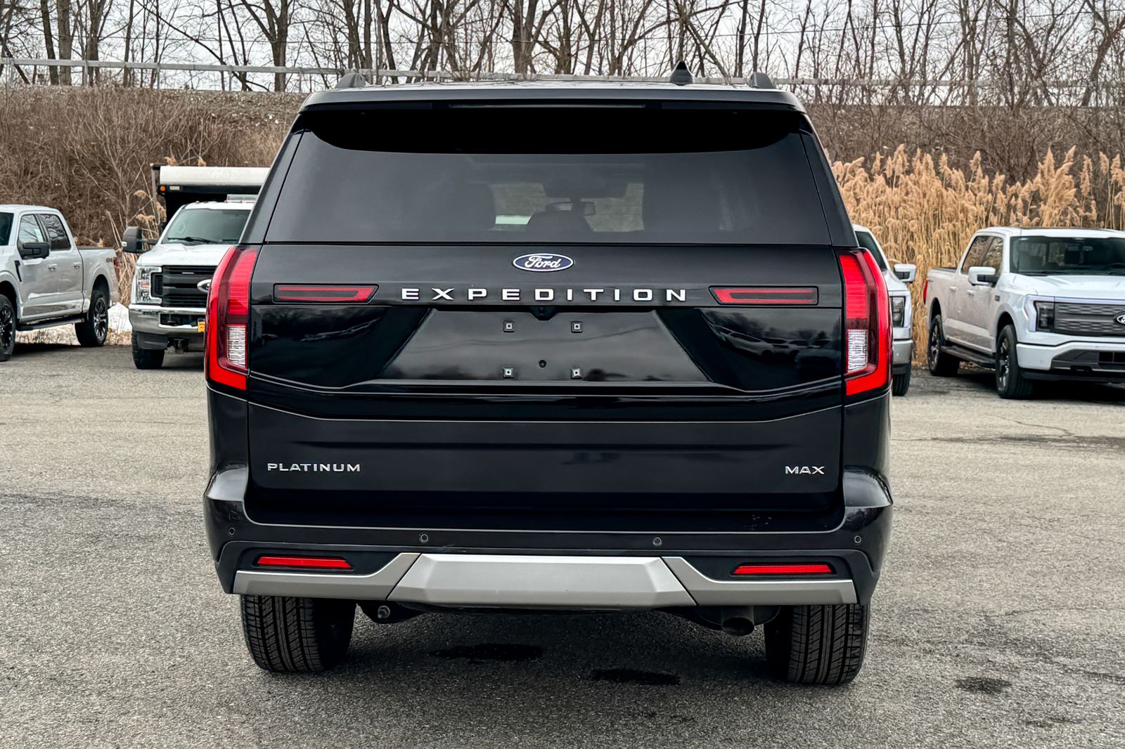 FORD EXPEDITION MAX - 5