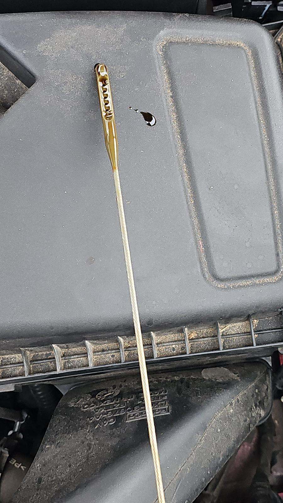 2022 Ford Escape SE AWD