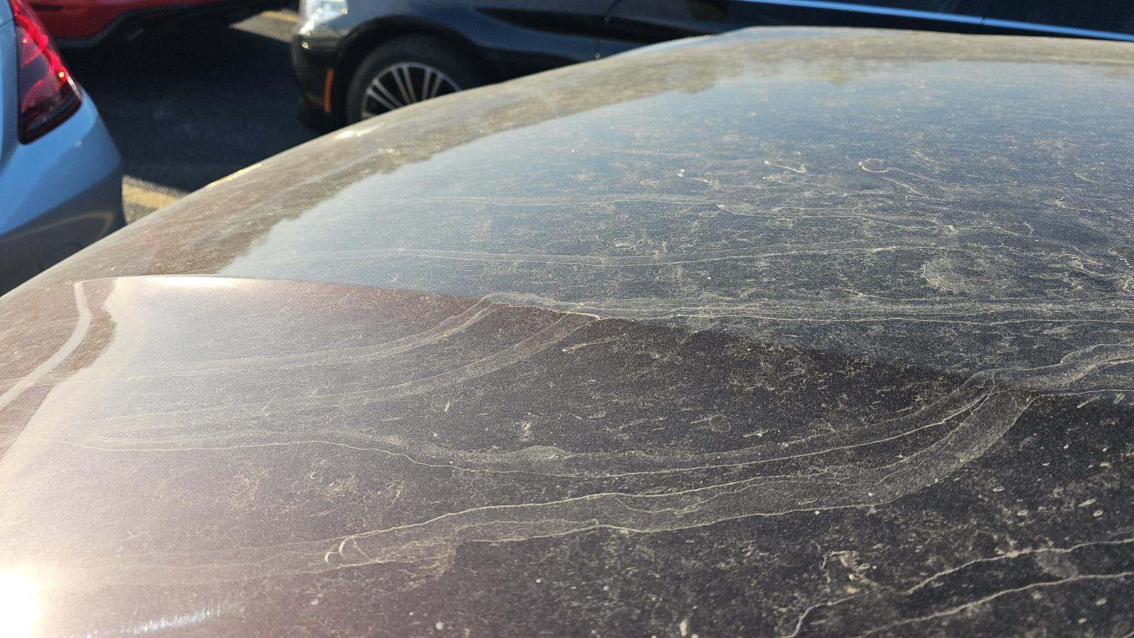 2019 Porsche Cayenne Base AWD