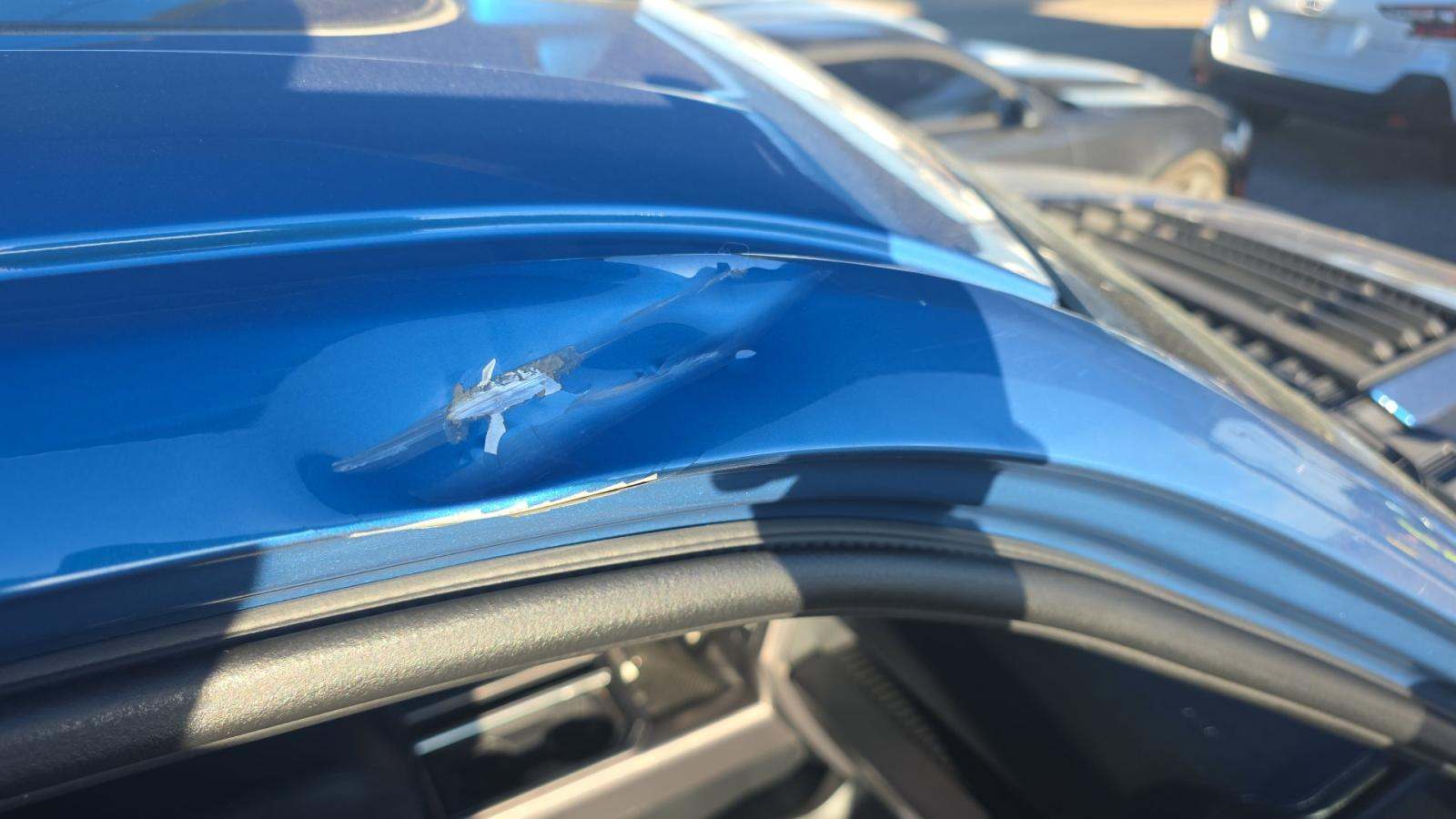 2019 Ford F-150 Raptor AWD