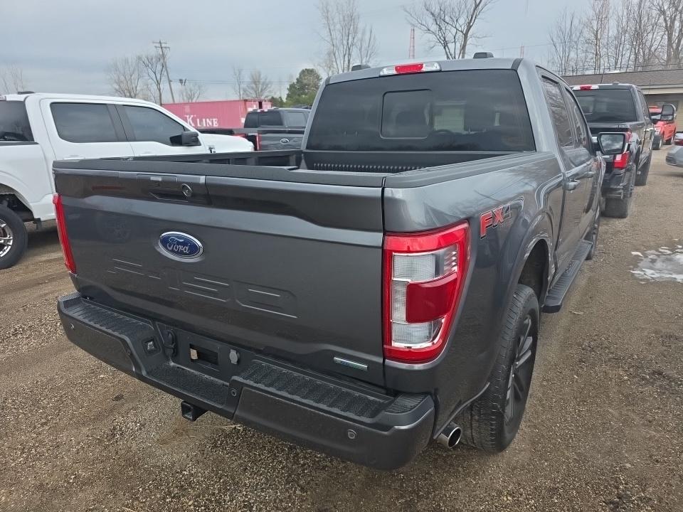 FORD F-150 - 5