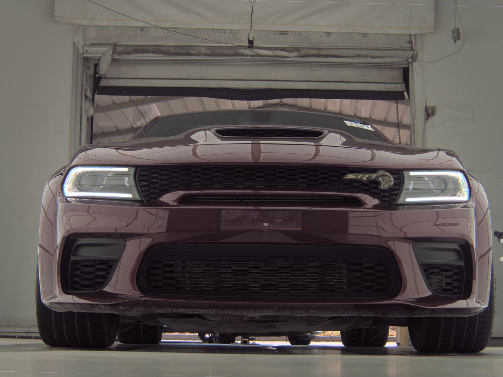 DODGE HLCT RED W - 4