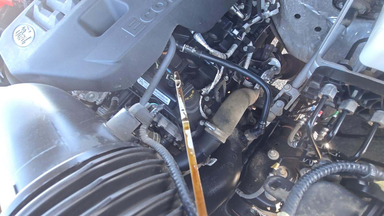 2023 Ford F-150 King Ranch AWD