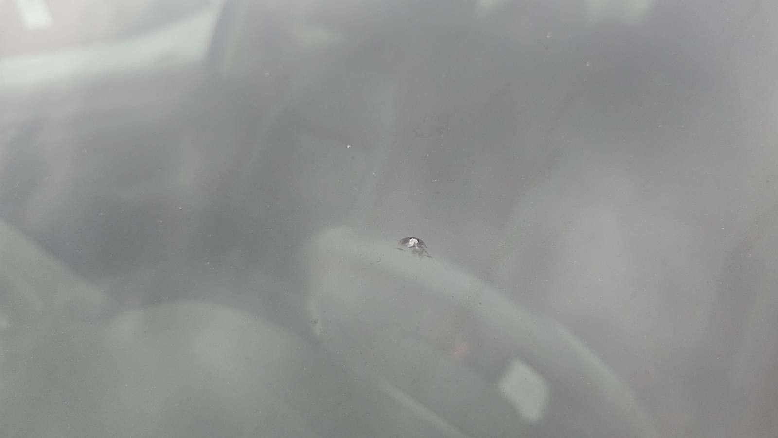 2022 Volkswagen Atlas 3.6L SE FWD