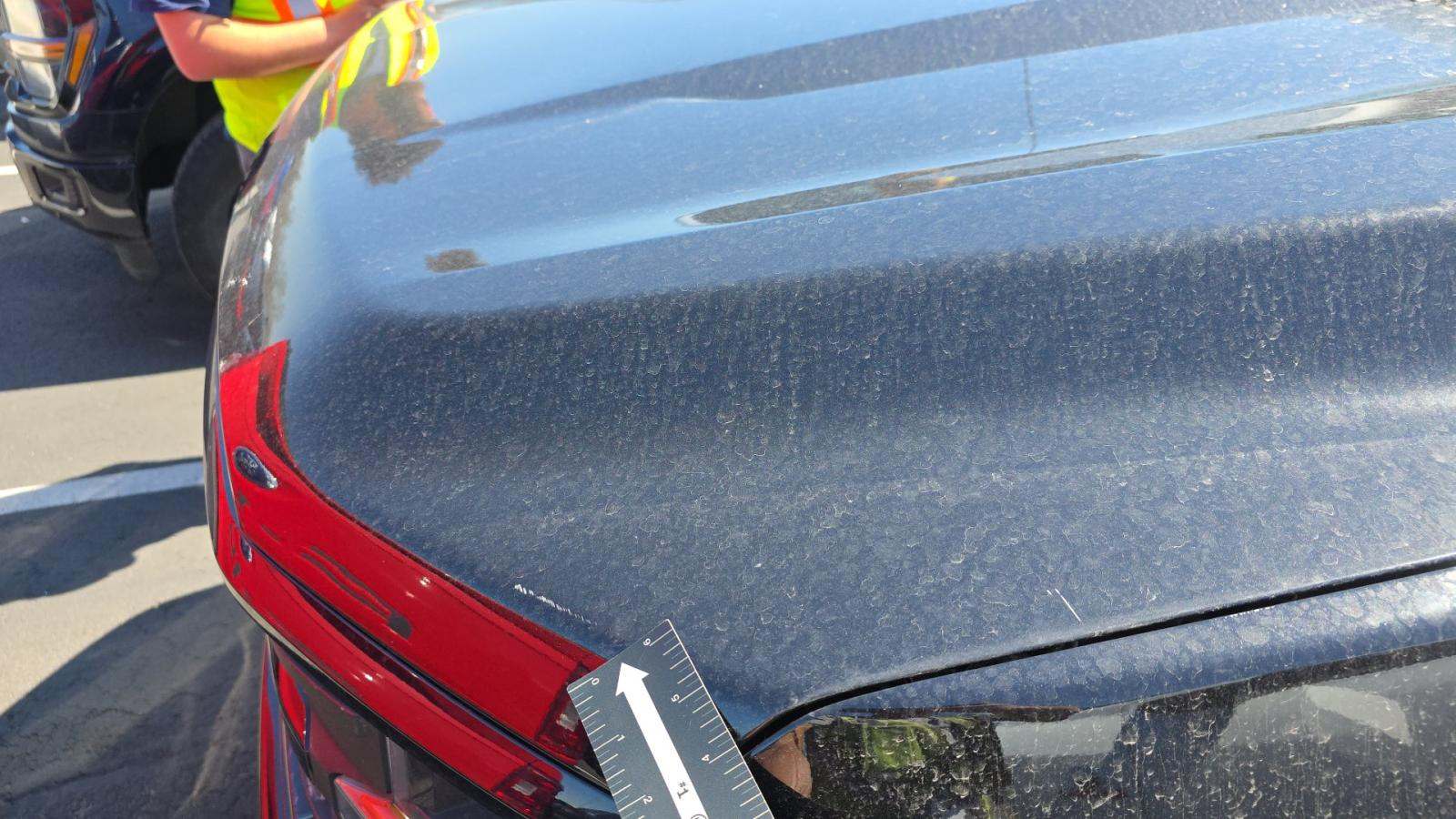 2025 Ford F-150 XLT AWD