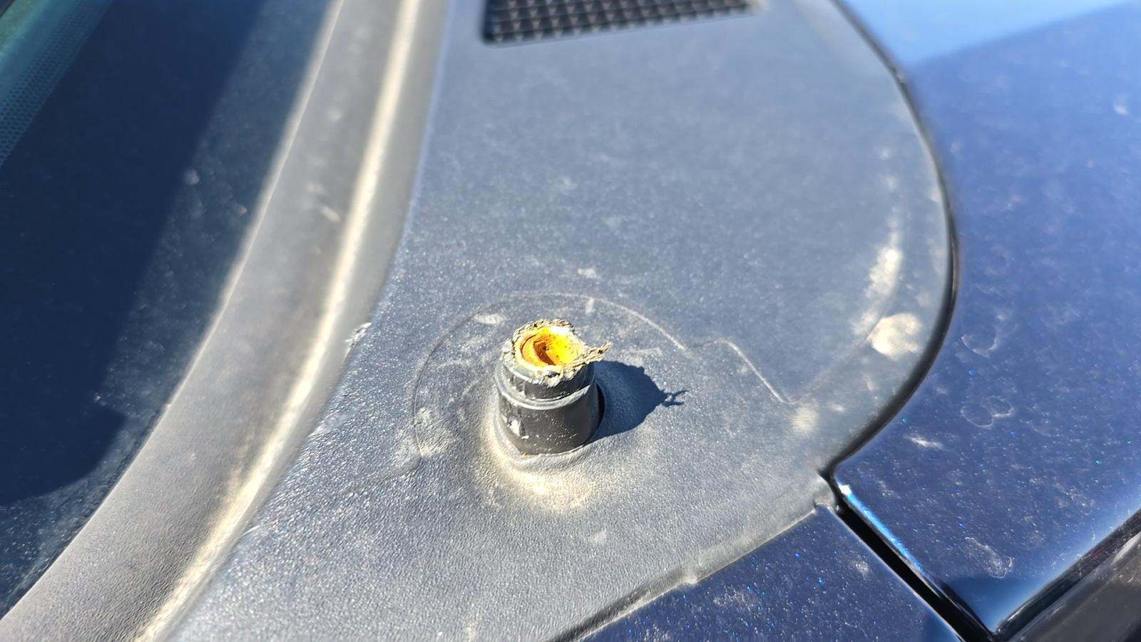 2025 Ford F-150 XLT AWD