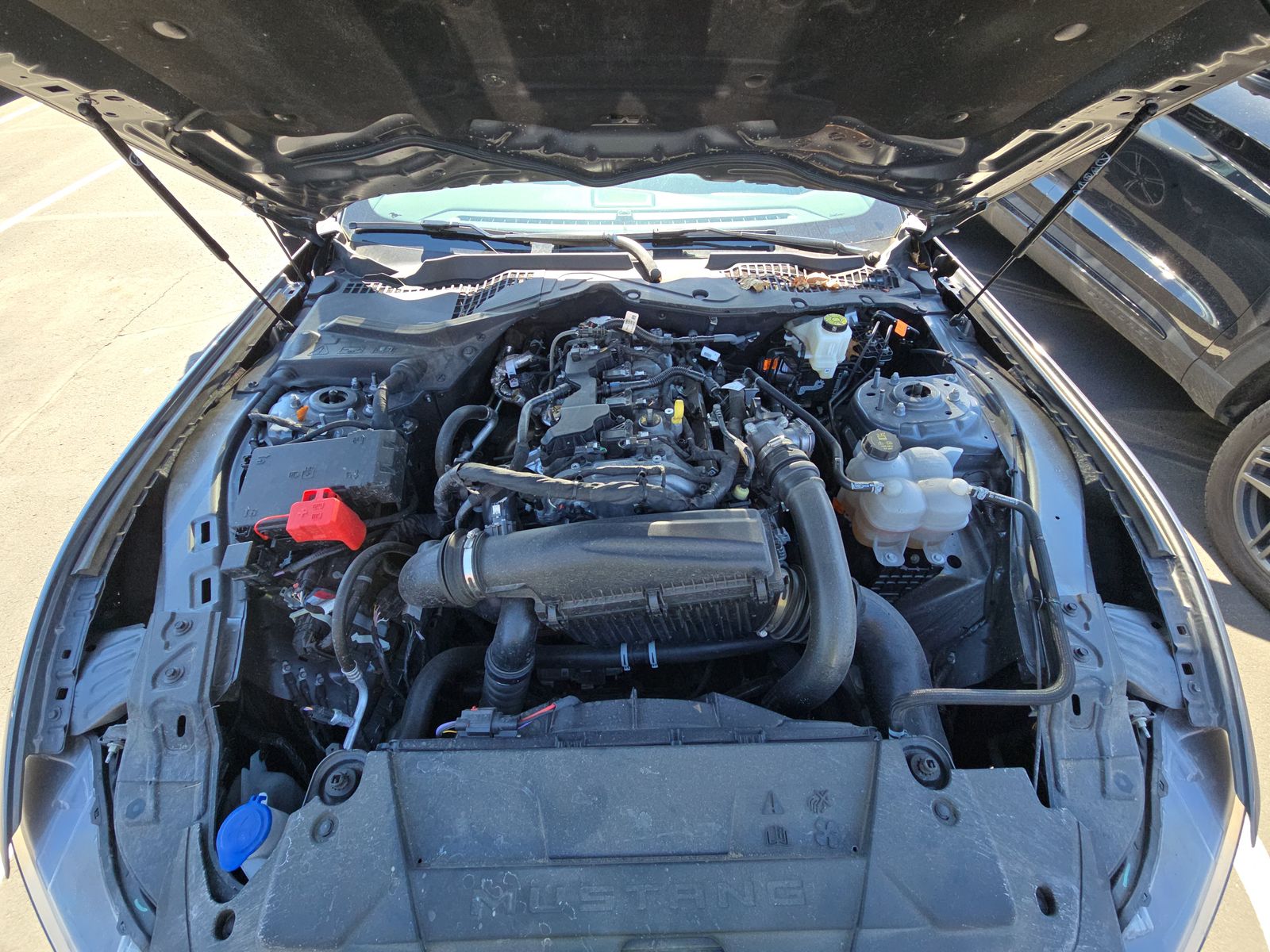 2025 Ford Mustang EcoBoost Premium RWD