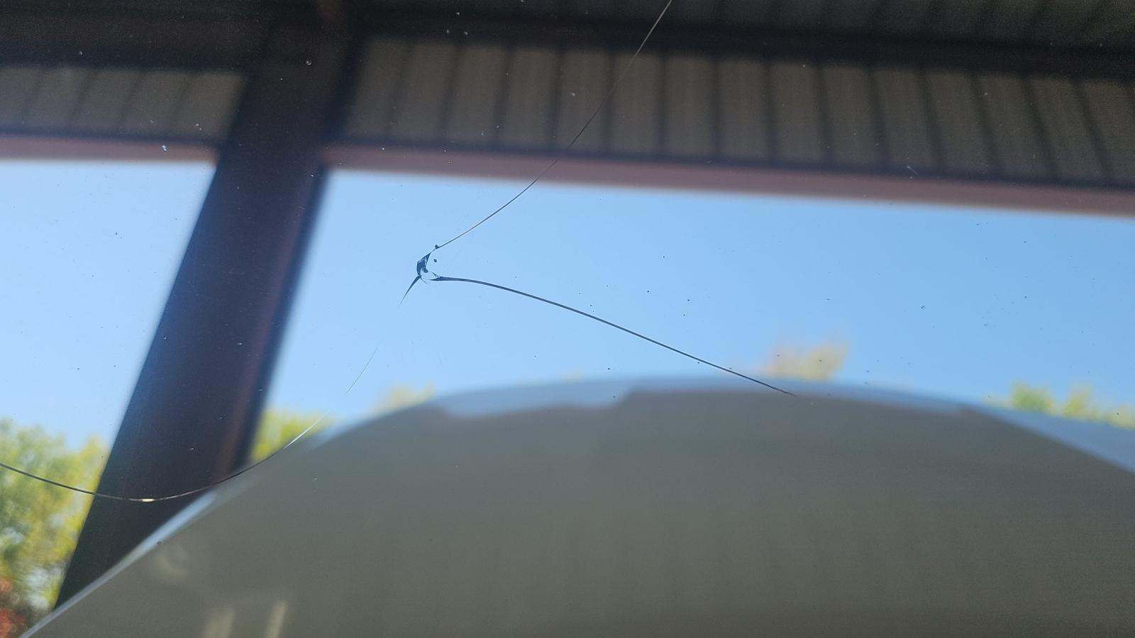 2021 Mercedes-Benz GLC GLC 300 RWD