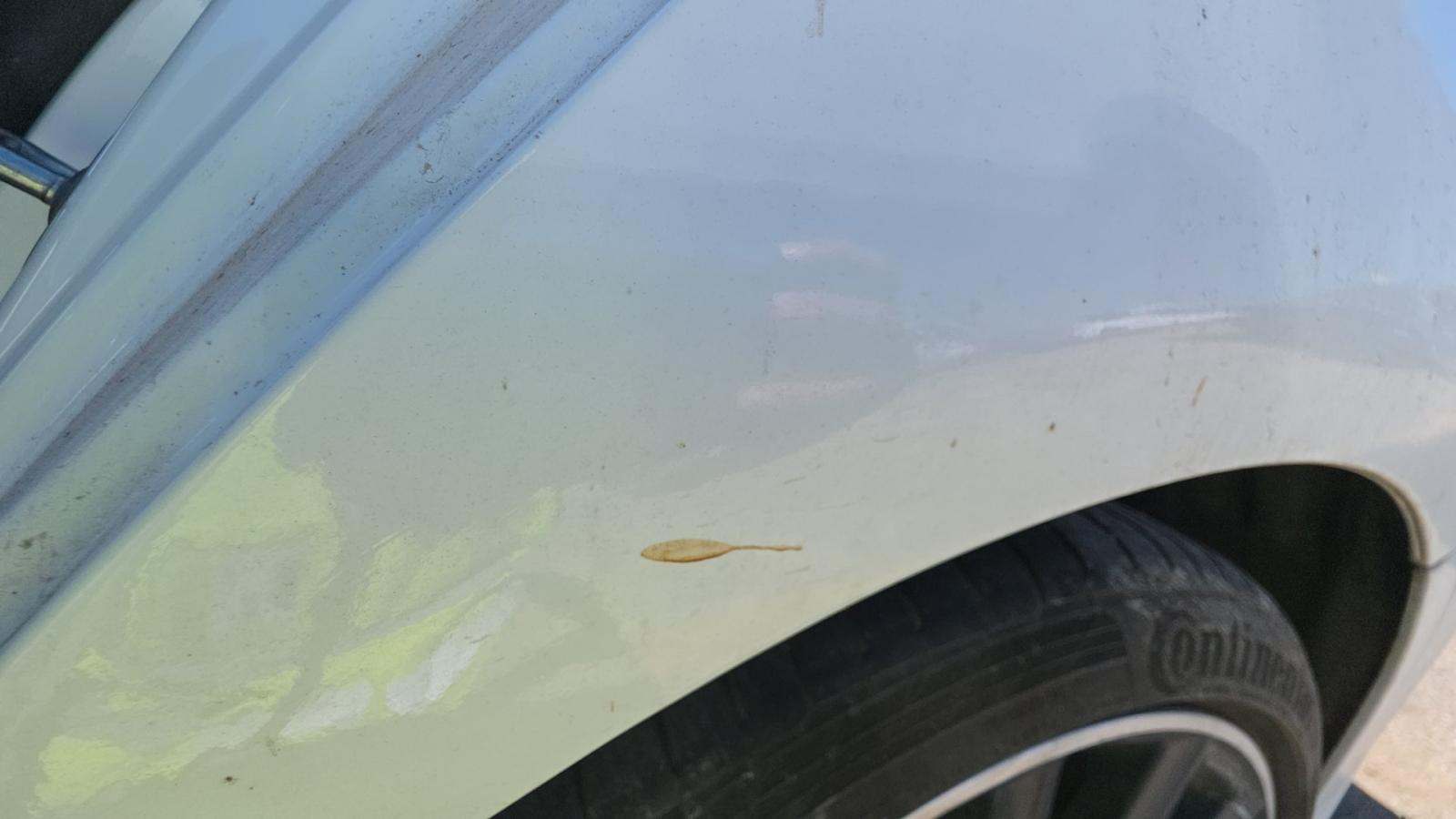 2021 Mercedes-Benz C-Class C 300 RWD