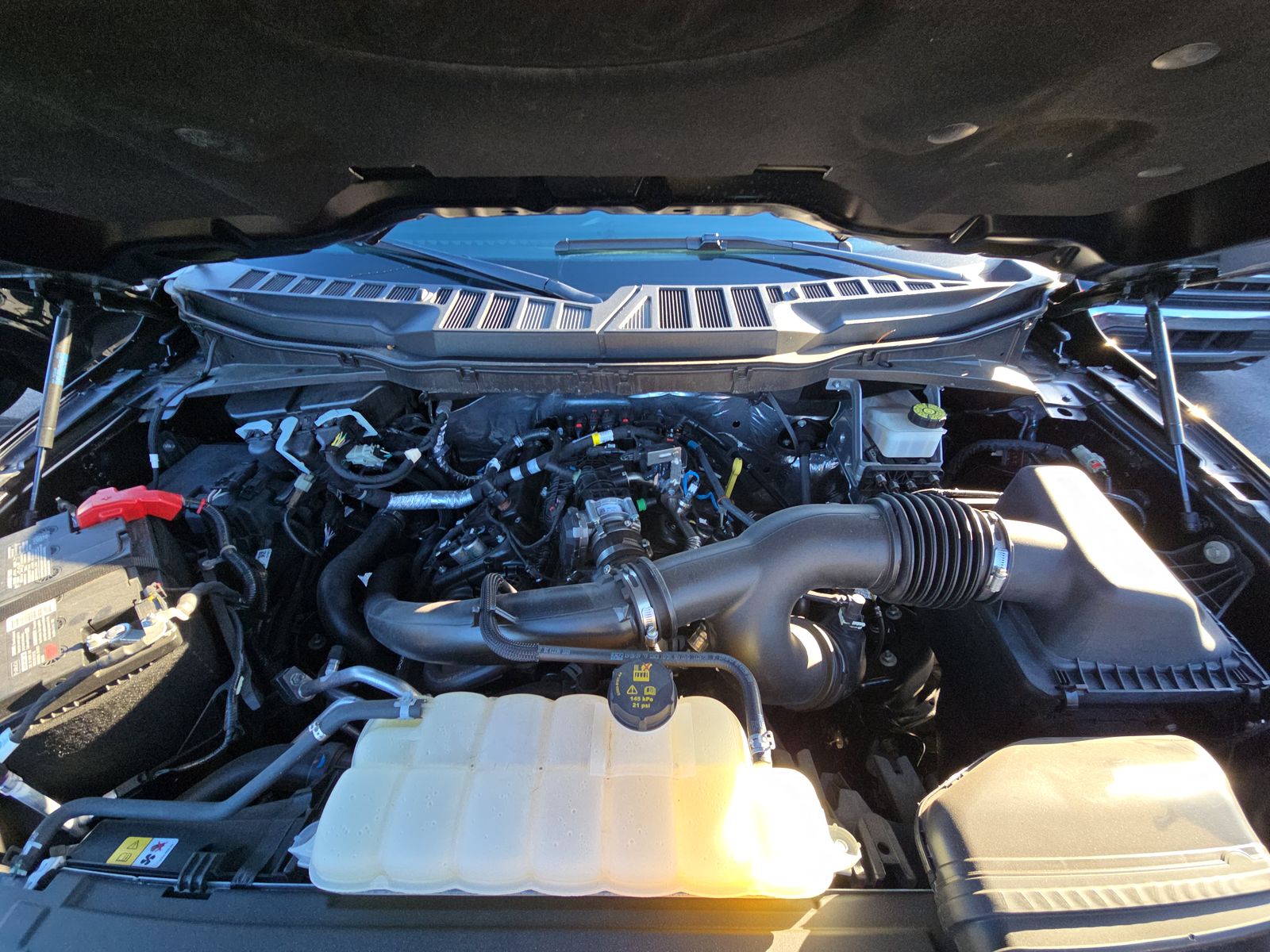 2024 Ford F-150 XLT RWD