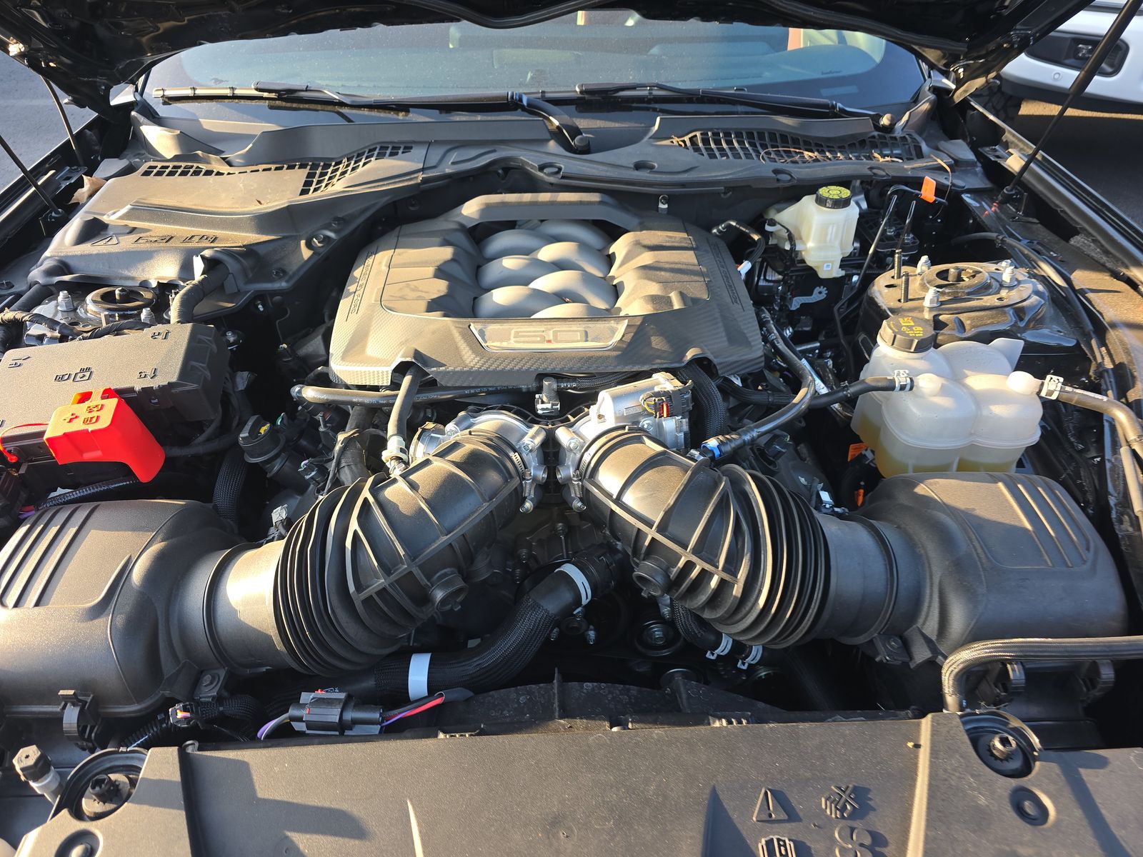 2025 Ford Mustang GT Premium RWD