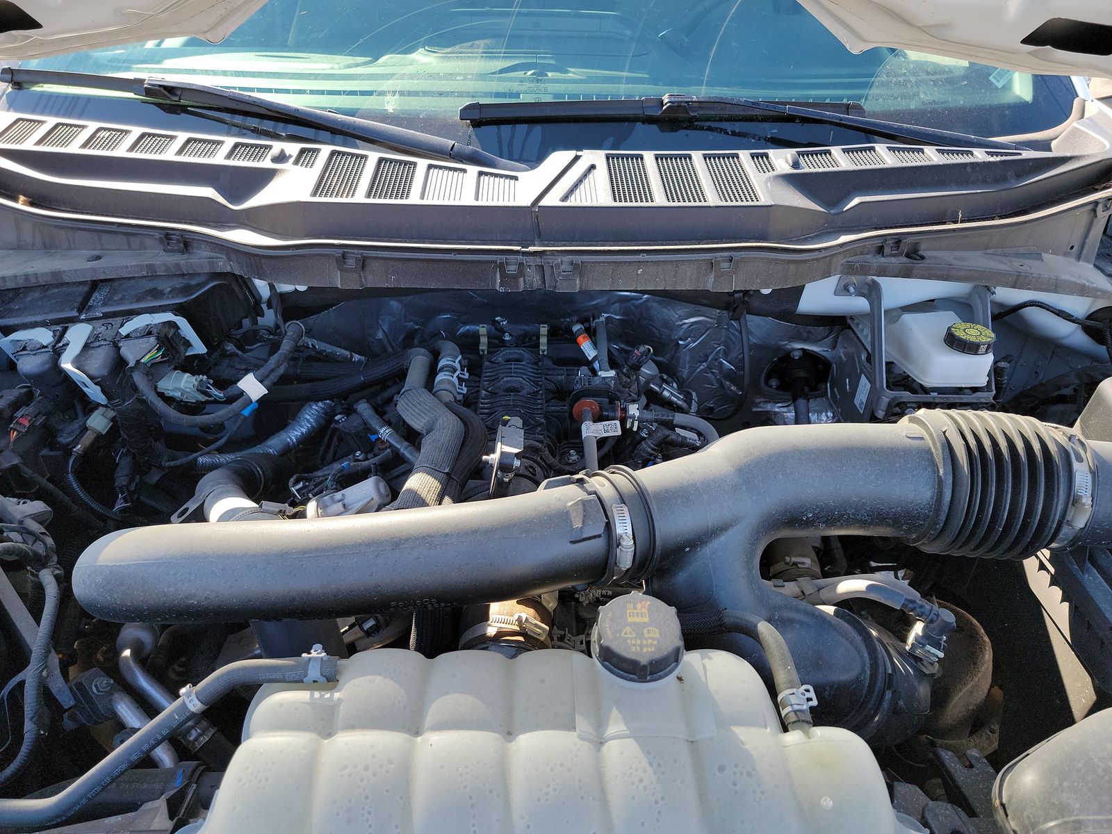 2025 Ford F-150 XLT AWD