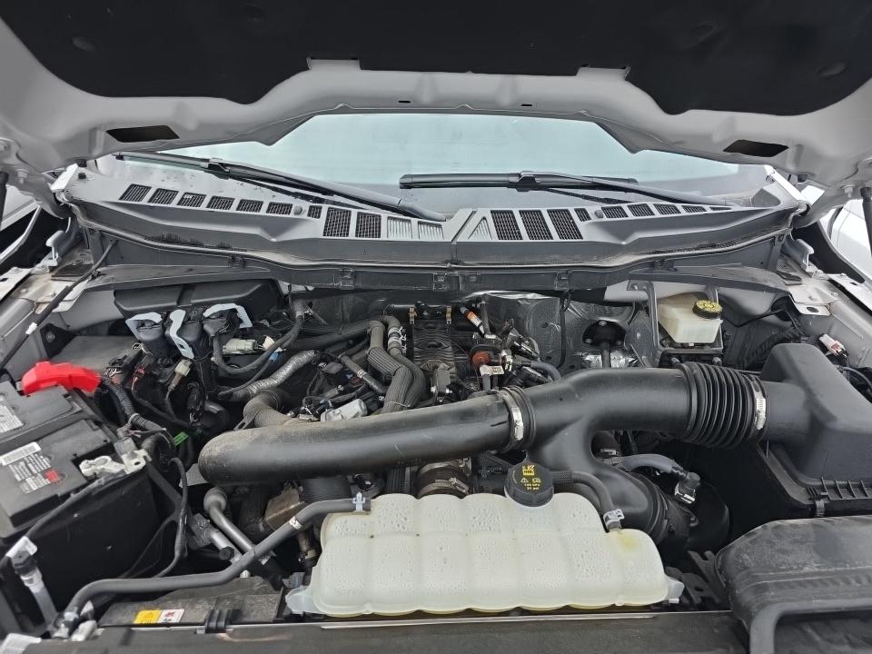 2024 Ford F-150 XLT AWD