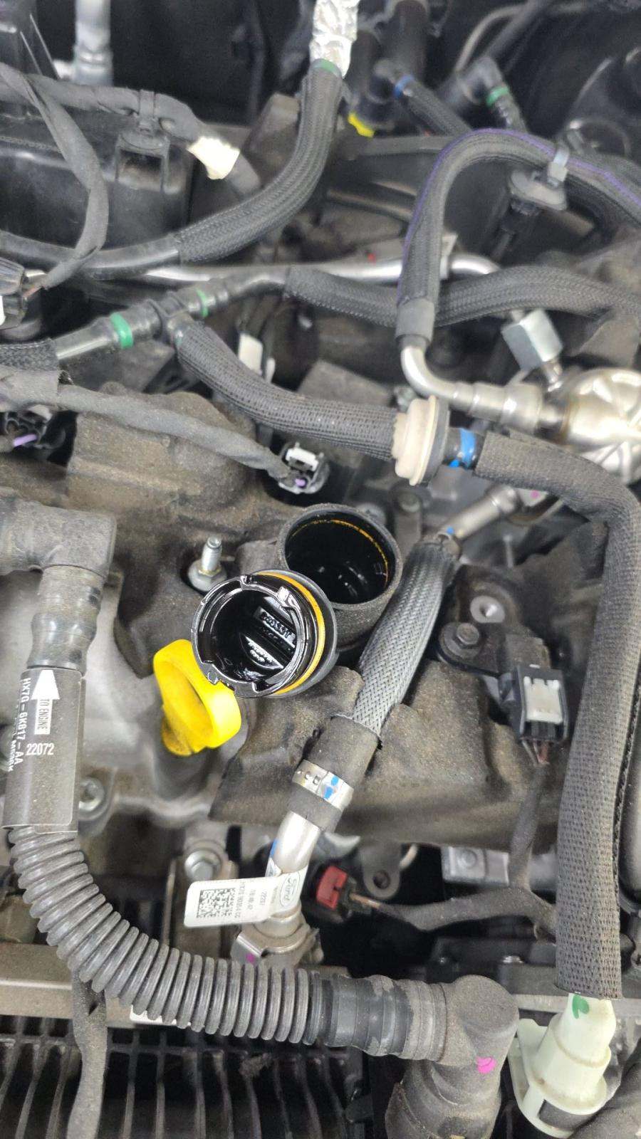 2022 Ford Escape SE AWD