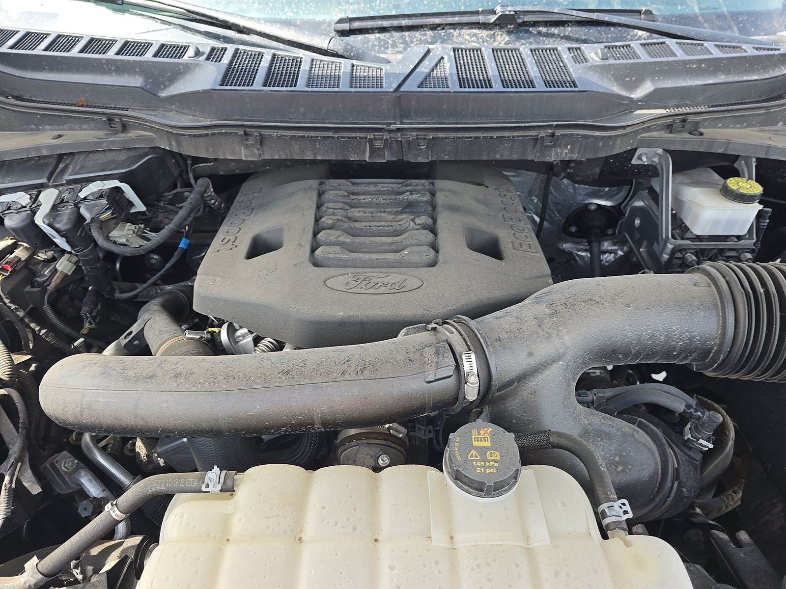 2023 Ford F-150 XLT AWD