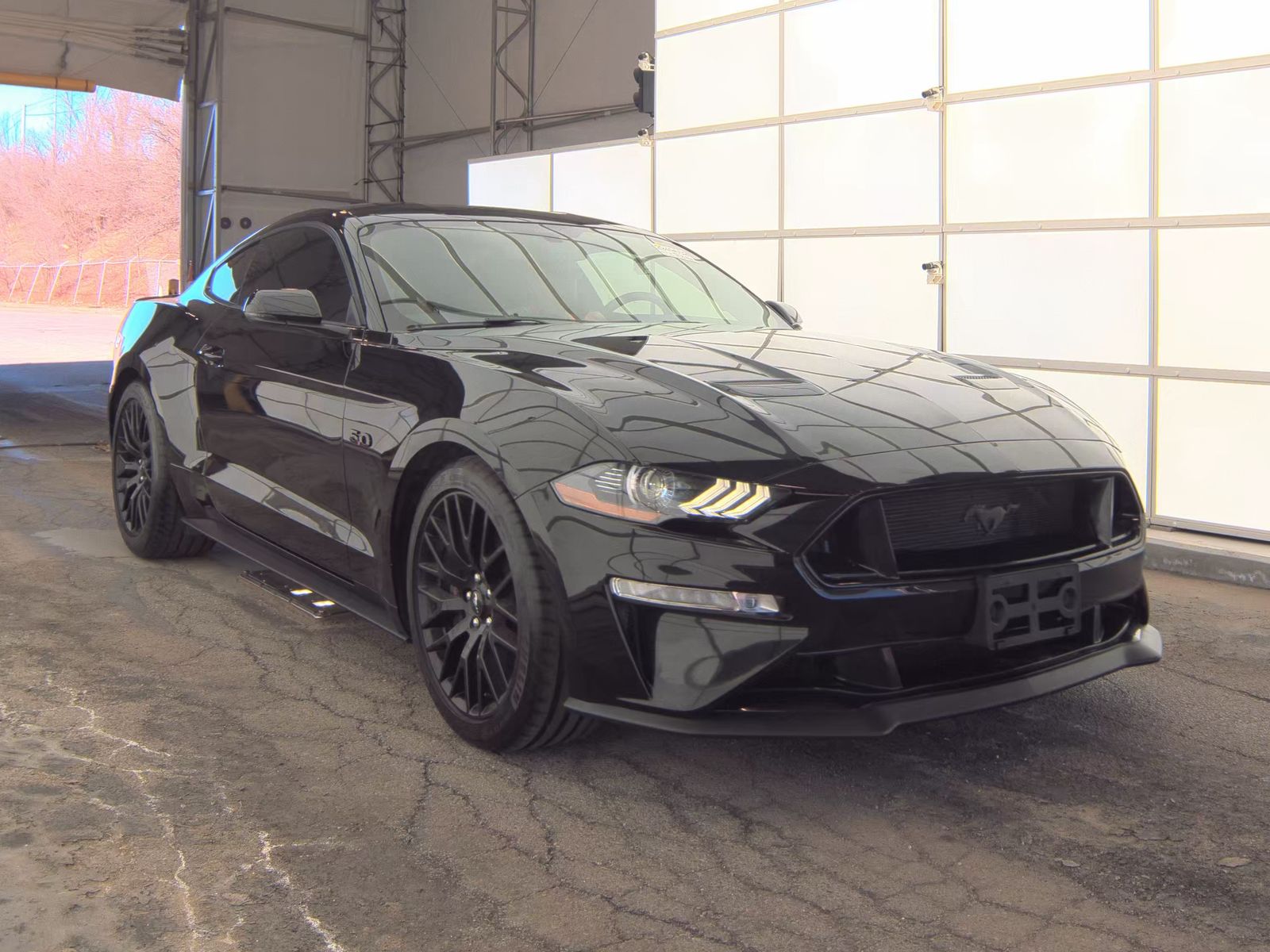 2019 Ford Mustang GT Premium RWD