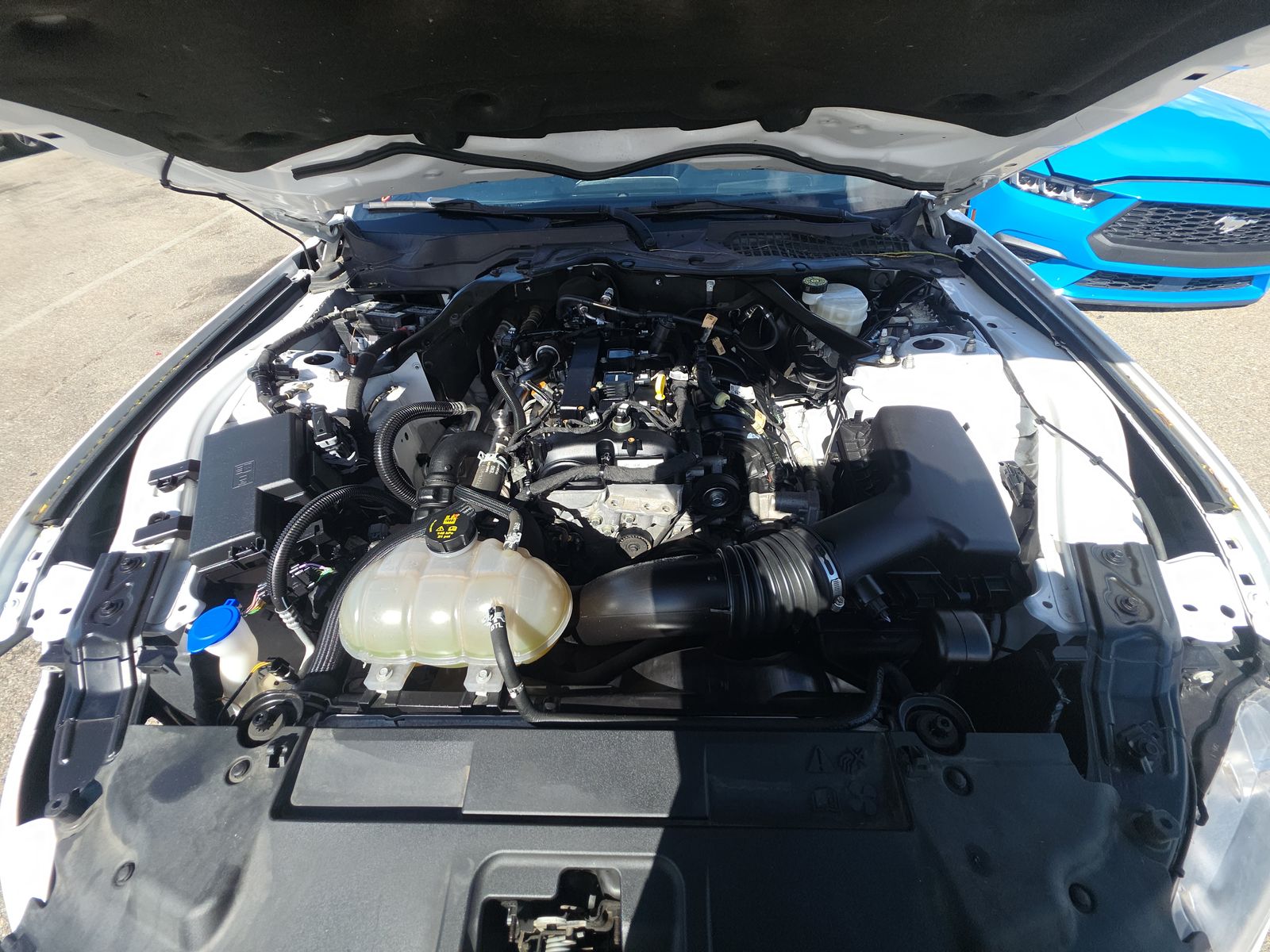 2021 Ford Mustang EcoBoost Premium RWD