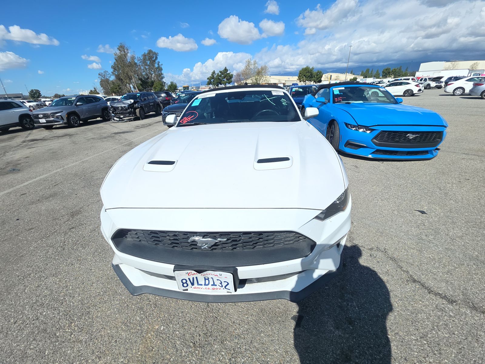 2021 Ford Mustang EcoBoost Premium RWD
