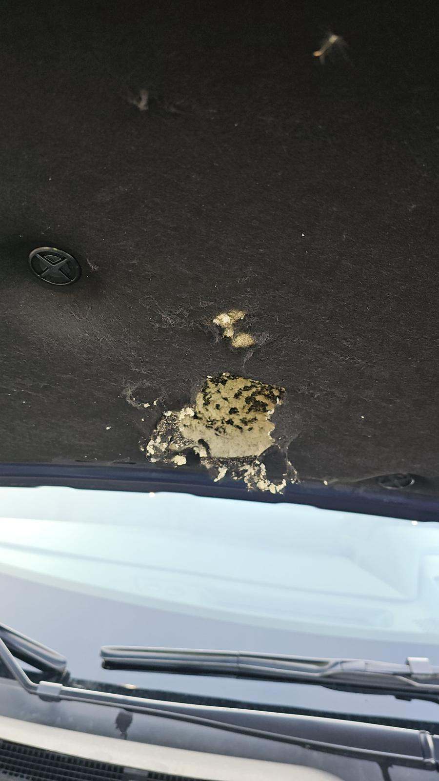 2025 Nissan Rogue SL AWD