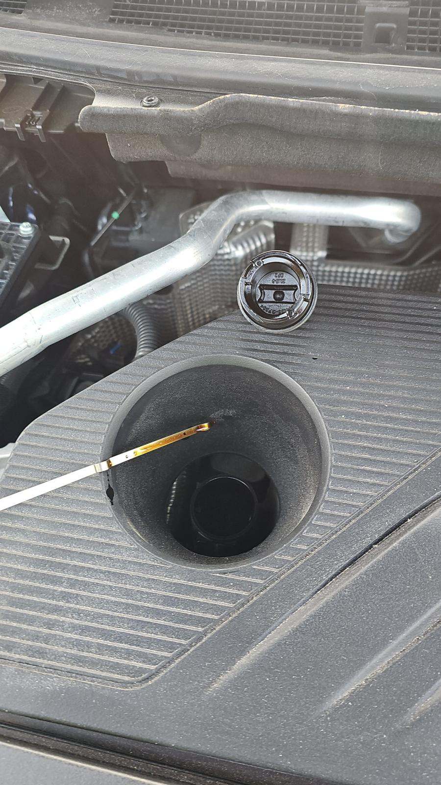 2025 Nissan Rogue SL AWD